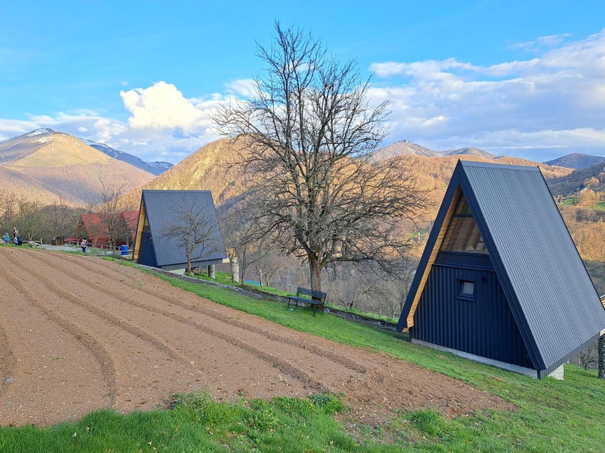 Fern Farm Tiny Home مويكوفاتش المظهر الخارجي الصورة
