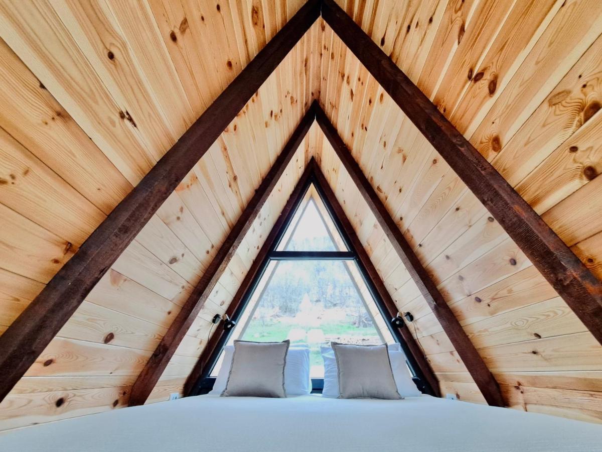 Fern Farm Tiny Home مويكوفاتش المظهر الخارجي الصورة
