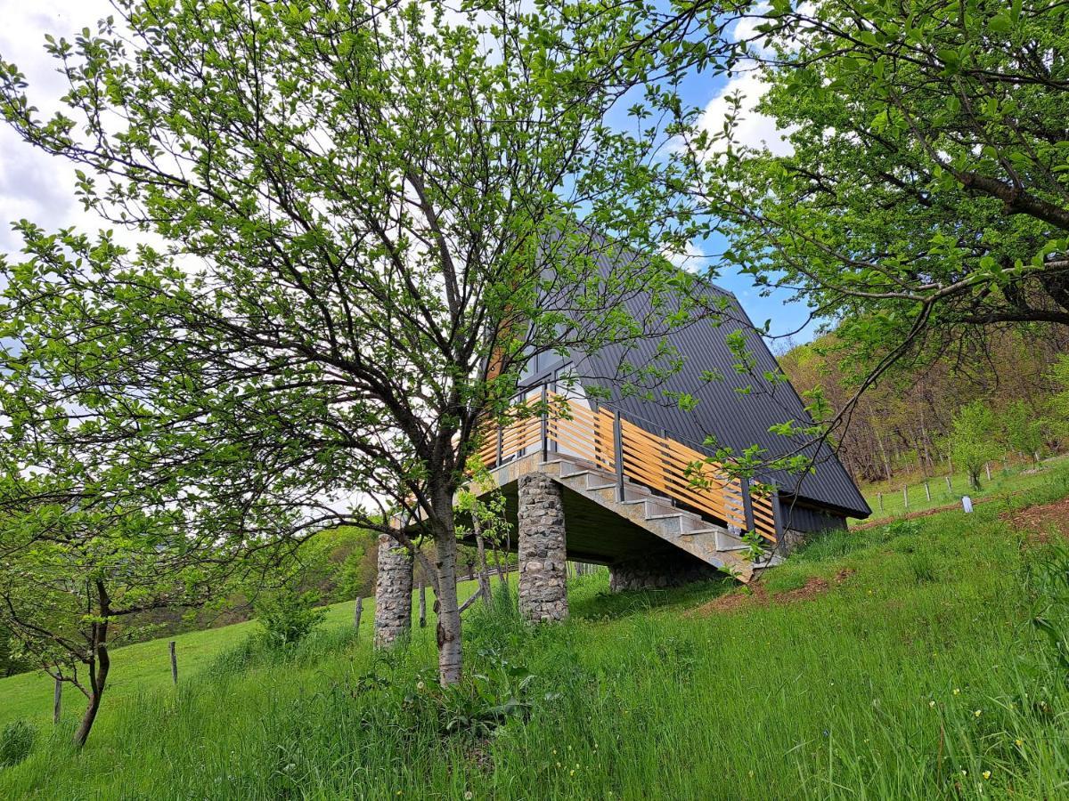 Fern Farm Tiny Home مويكوفاتش المظهر الخارجي الصورة