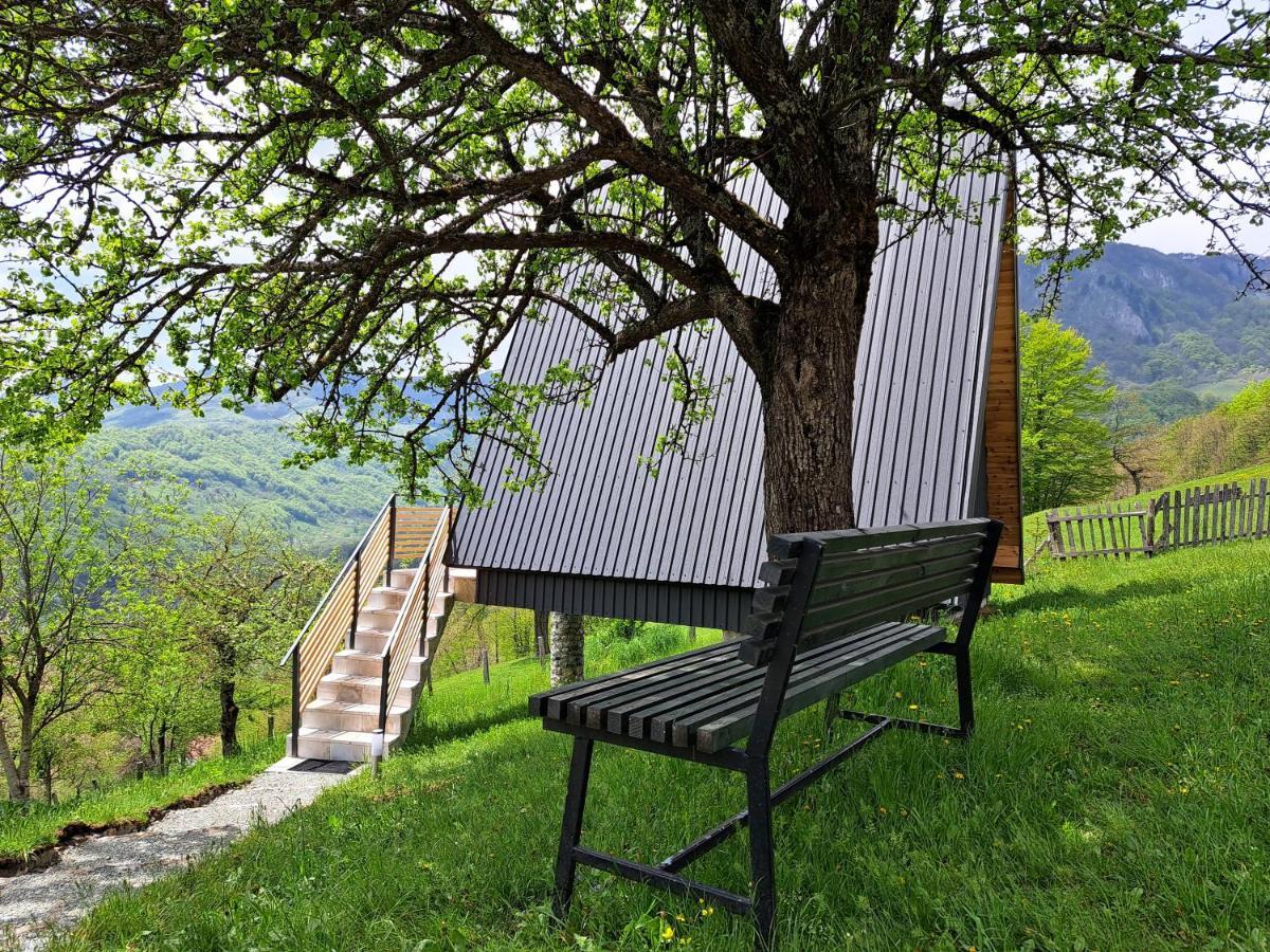 Fern Farm Tiny Home مويكوفاتش المظهر الخارجي الصورة