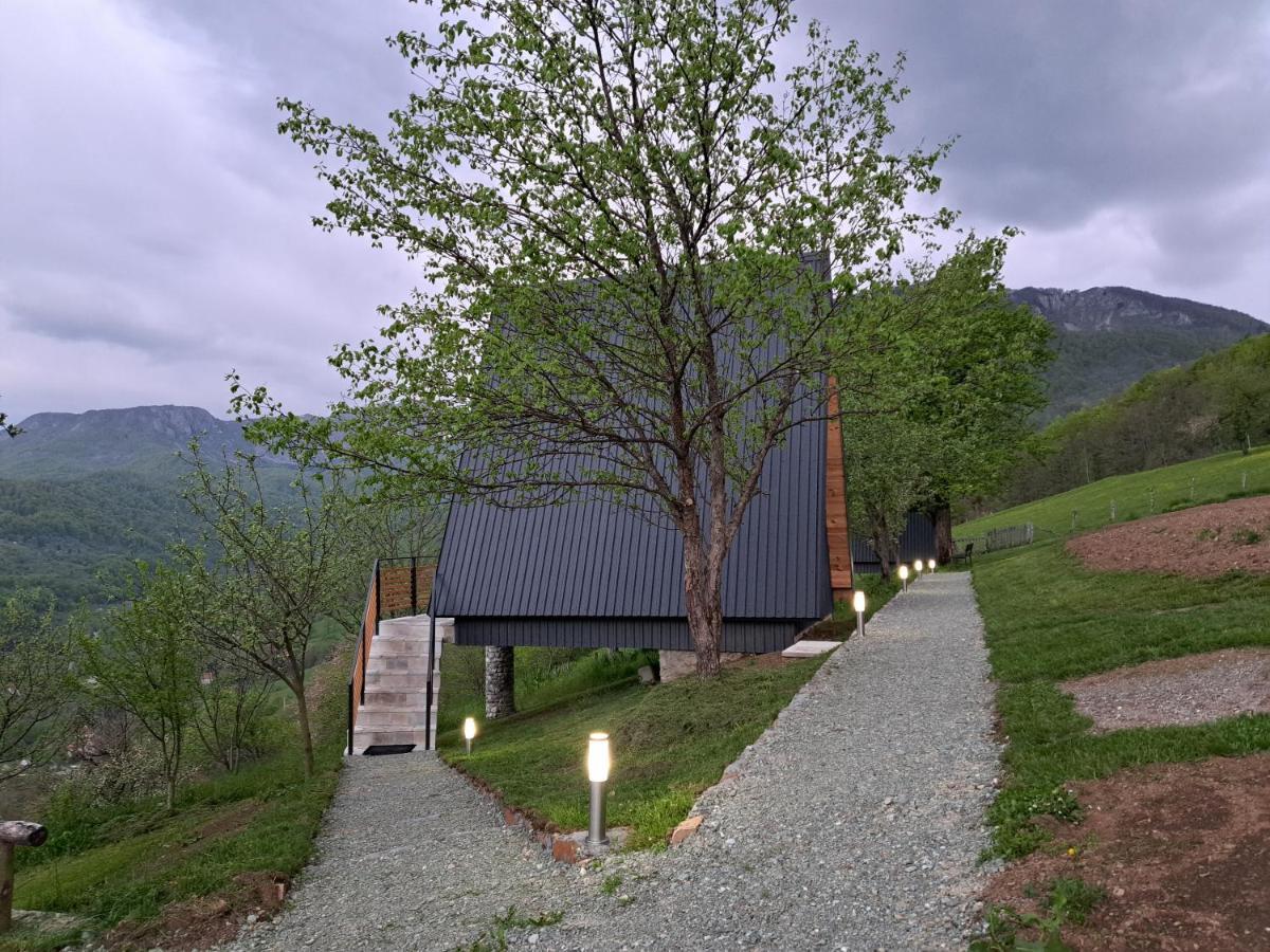 Fern Farm Tiny Home مويكوفاتش المظهر الخارجي الصورة