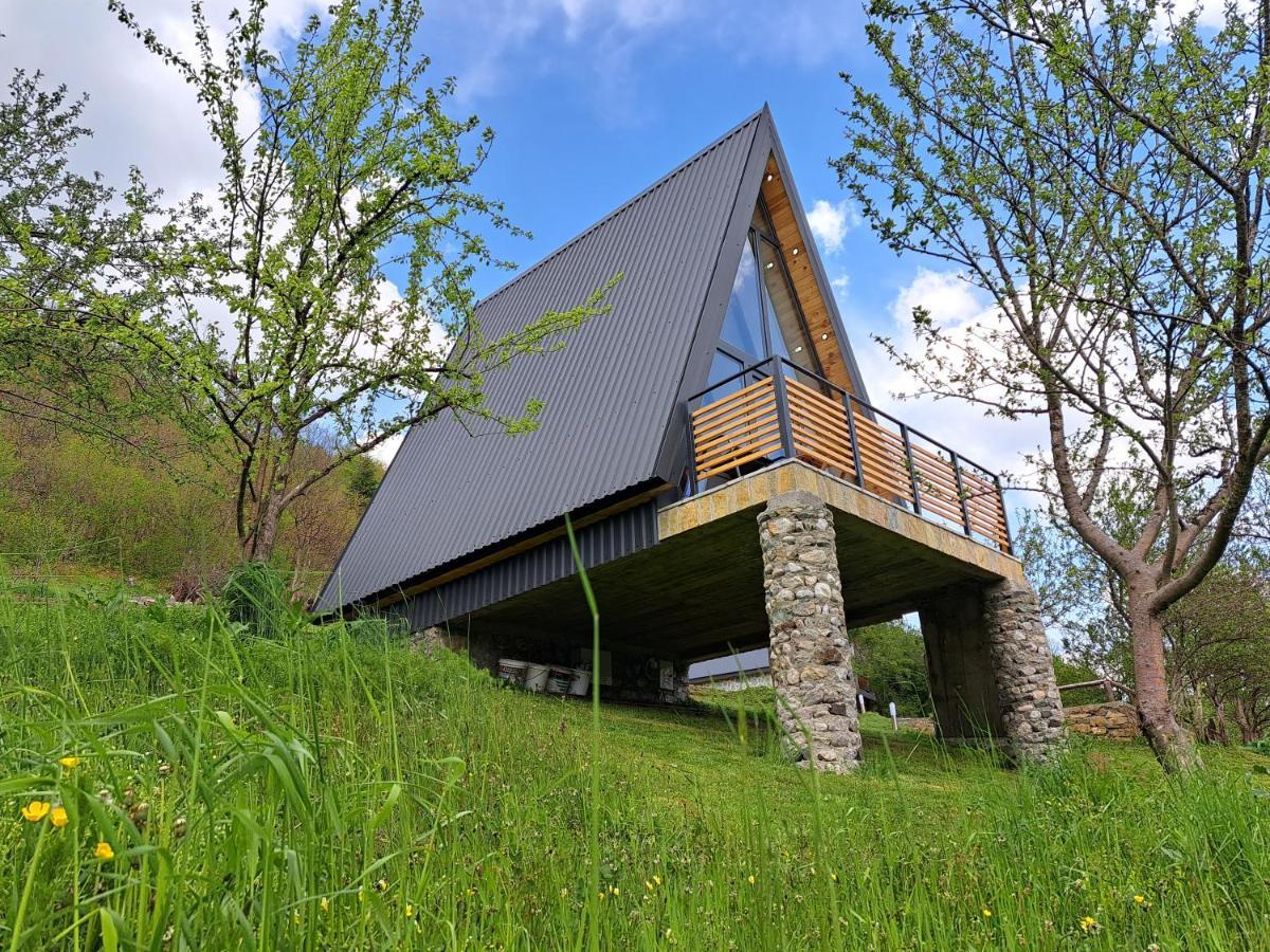 Fern Farm Tiny Home مويكوفاتش المظهر الخارجي الصورة