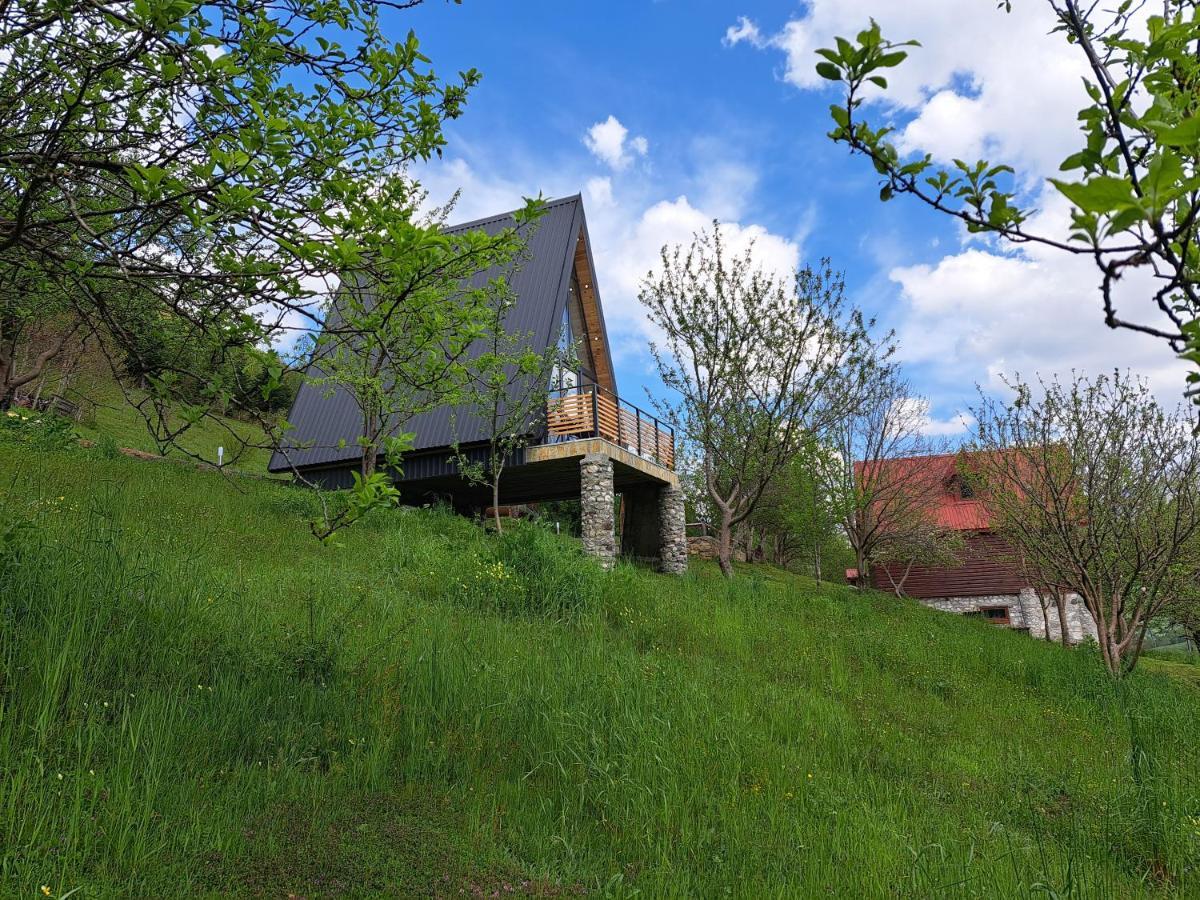Fern Farm Tiny Home مويكوفاتش المظهر الخارجي الصورة
