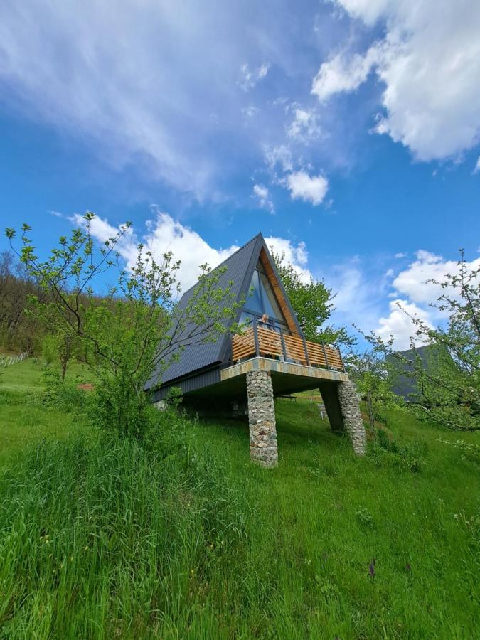 Fern Farm Tiny Home مويكوفاتش المظهر الخارجي الصورة