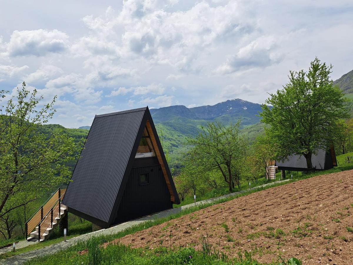 Fern Farm Tiny Home مويكوفاتش المظهر الخارجي الصورة
