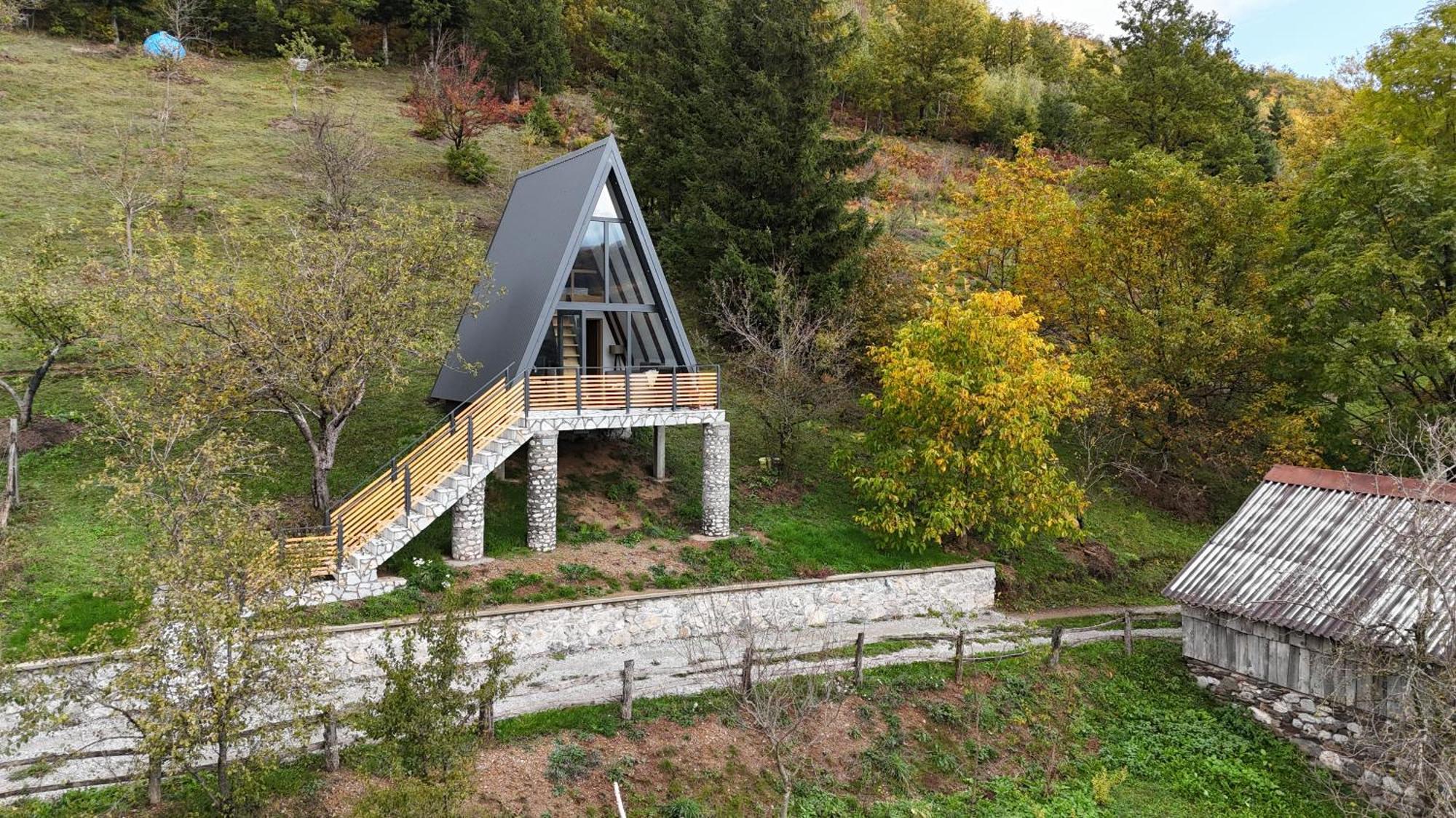 Fern Farm Tiny Home مويكوفاتش المظهر الخارجي الصورة