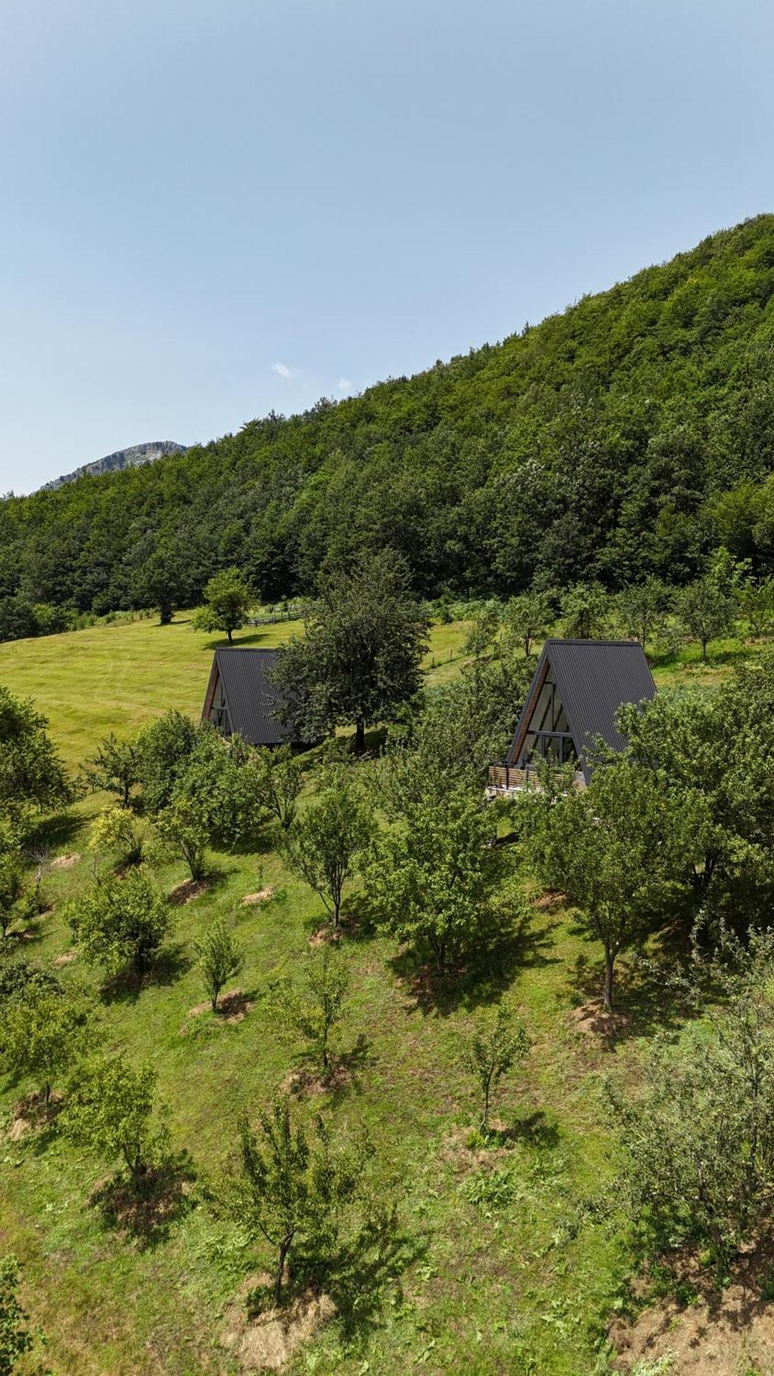Fern Farm Tiny Home مويكوفاتش المظهر الخارجي الصورة