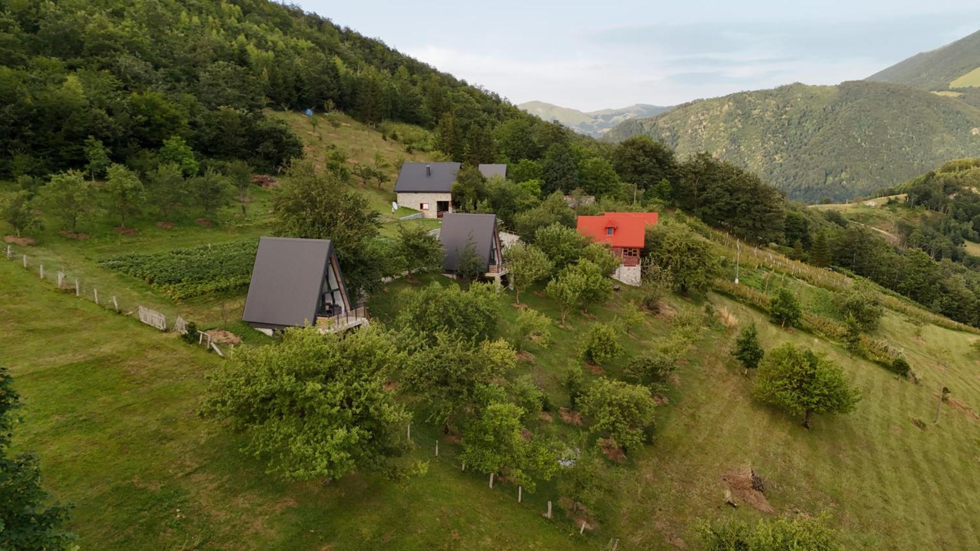 Fern Farm Tiny Home مويكوفاتش المظهر الخارجي الصورة