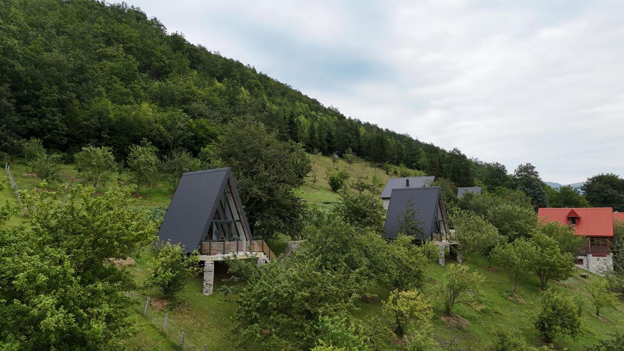 Fern Farm Tiny Home مويكوفاتش المظهر الخارجي الصورة
