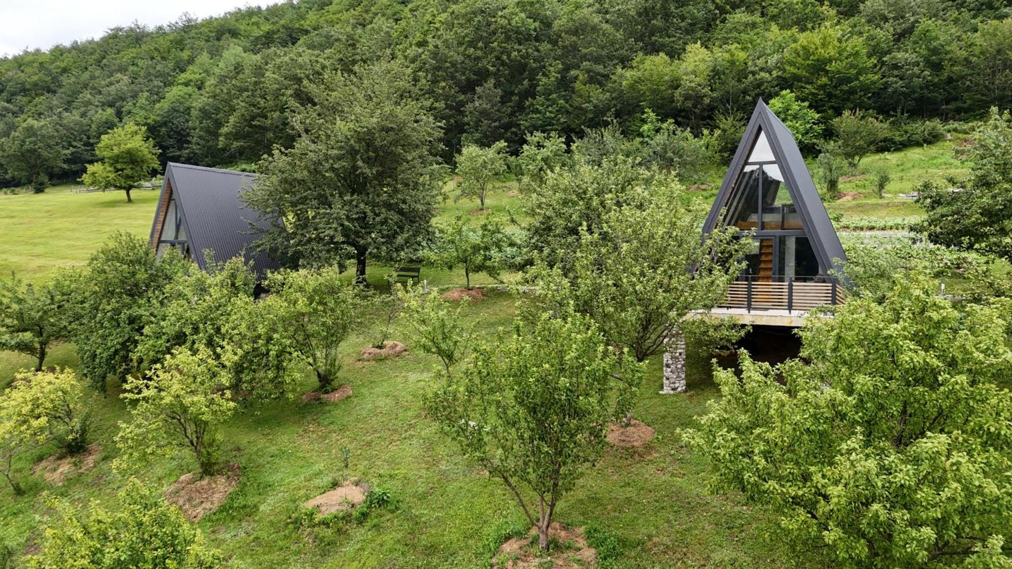Fern Farm Tiny Home مويكوفاتش المظهر الخارجي الصورة