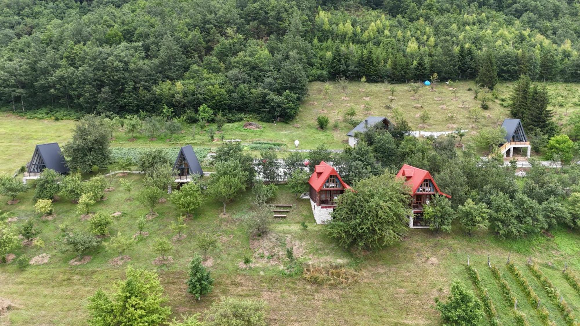 Fern Farm Tiny Home مويكوفاتش المظهر الخارجي الصورة
