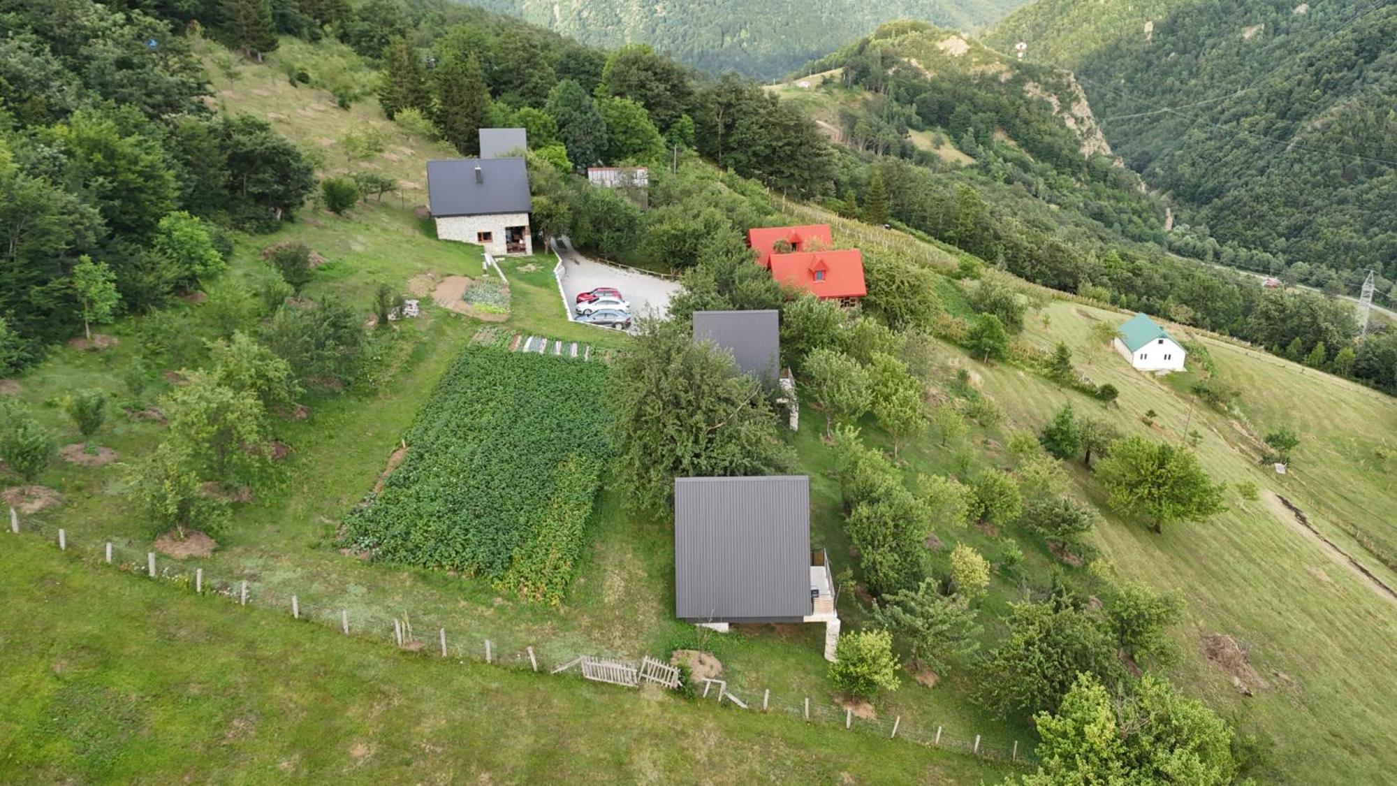 Fern Farm Tiny Home مويكوفاتش المظهر الخارجي الصورة